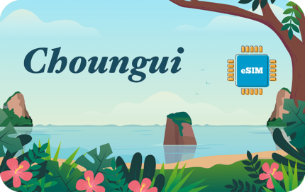 Mayotte 20 GB - 30 Days